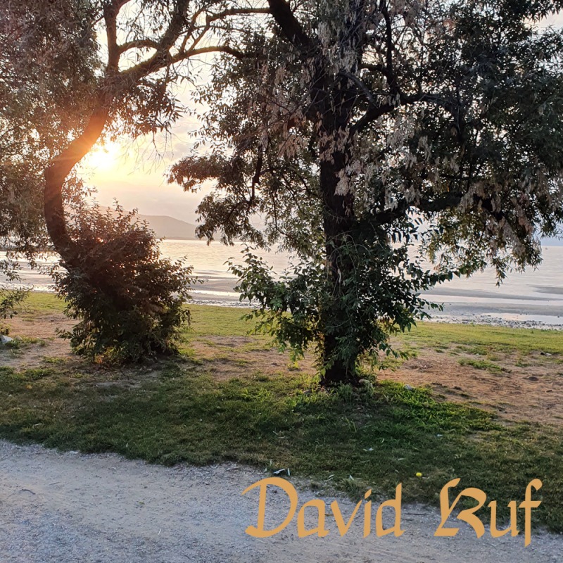 Misty Dawn