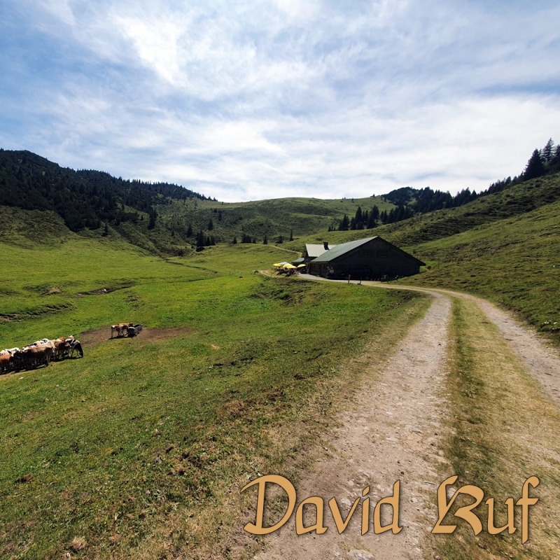 Tranquil Paths